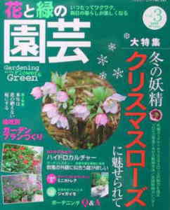 花と緑の園芸　表紙