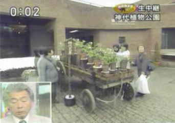日本テレビ　みのもんたさんの番組で神代植物公園の展示会を紹介